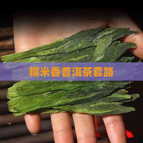 糯米香普洱茶套路