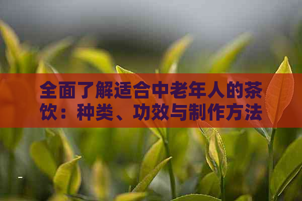 全面了解适合中老年人的茶饮：种类、功效与制作方法