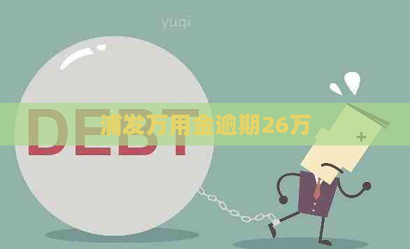 浦发万用金逾期26万