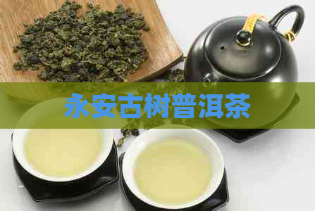 永安古树普洱茶