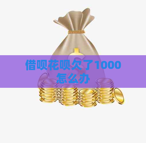 借呗花呗欠了1000怎么办