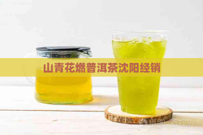 山青花燃普洱茶沈阳经销