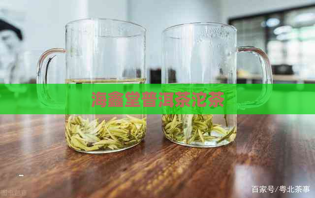 海鑫堂普洱茶沱茶