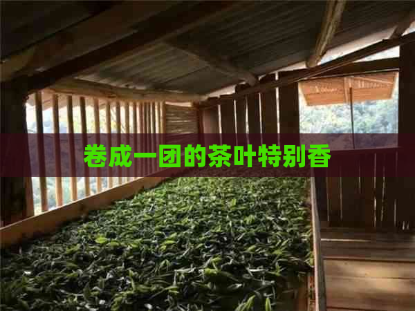 卷成一团的茶叶特别香