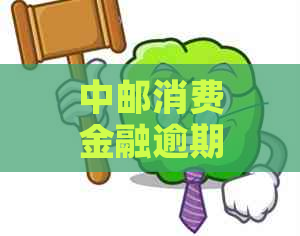 中邮消费金融逾期期解决方案