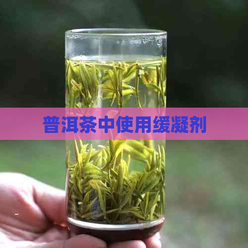 普洱茶中使用缓凝剂