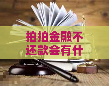 拍拍金融不还款会有什么后果