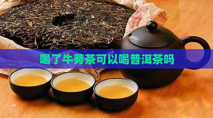 喝了牛蒡茶可以喝普洱茶吗