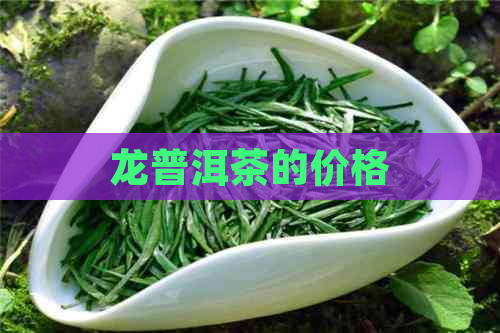 龙普洱茶的价格