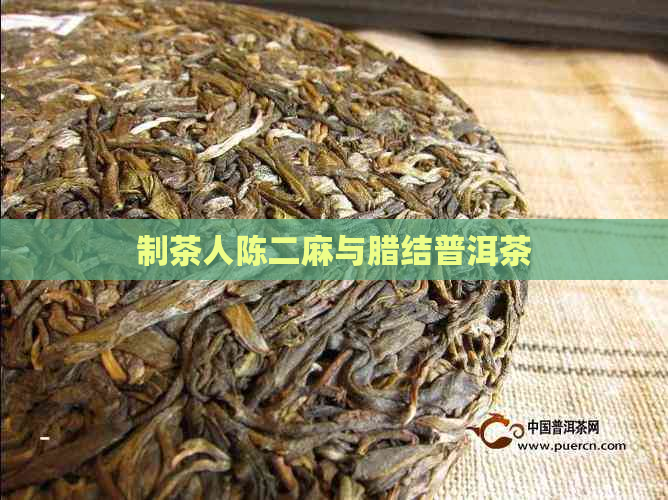 制茶人陈二麻与腊结普洱茶