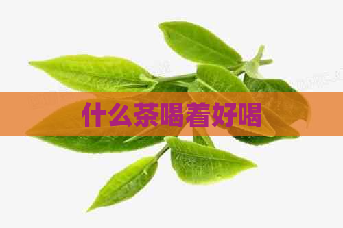 什么茶喝着好喝