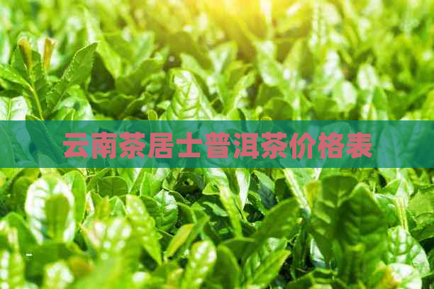 云南茶居士普洱茶价格表