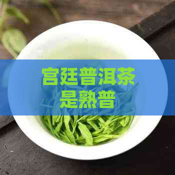 宫廷普洱茶是熟普