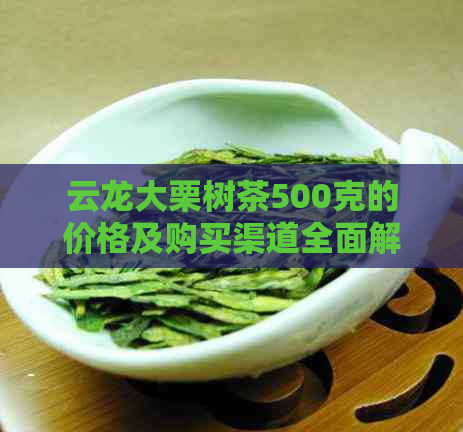 云龙大栗树茶500克的价格及购买渠道全面解析