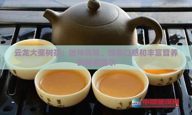 云龙大栗树茶：独特风味、醇厚口感和丰富营养的秘密揭示