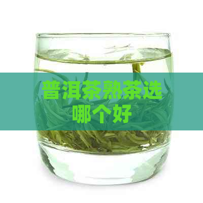 普洱茶熟茶选哪个好