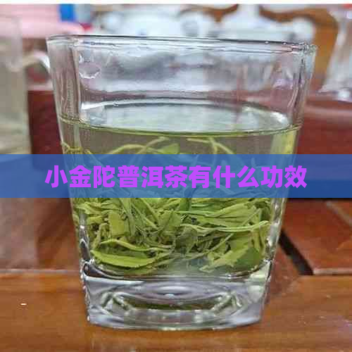 小金陀普洱茶有什么功效