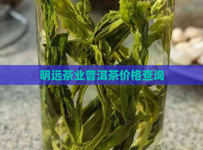 明远茶业普洱茶价格查询