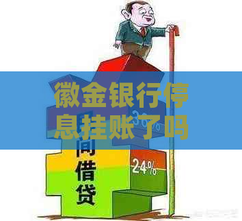 徽金银行停息挂账了吗