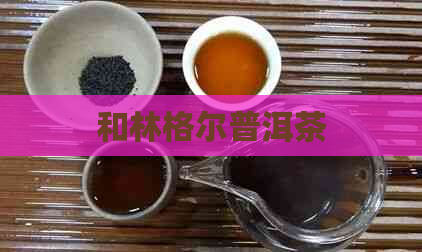 和林格尔普洱茶