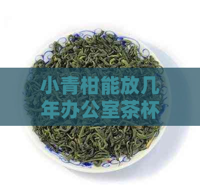 小青柑能放几年茶杯推荐