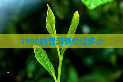 1990的普洱茶价位多少