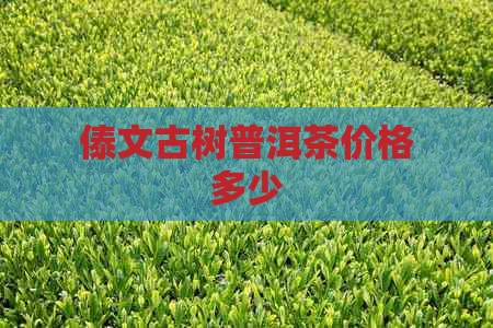 傣文古树普洱茶价格多少