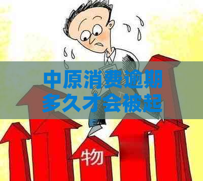 中原消费逾期多久才会被起诉