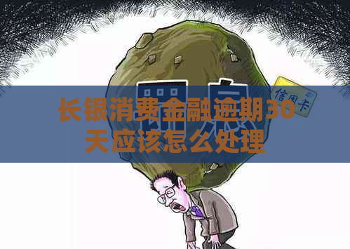 长银消费金融逾期30天应该怎么处理