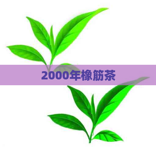 2000年橡筋茶