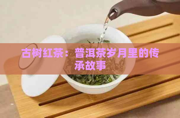 古树红茶：普洱茶岁月里的传承故事