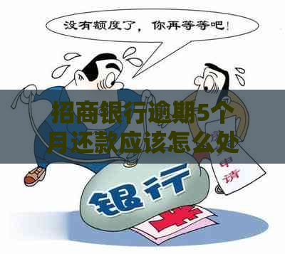 招商银行逾期5个月还款应该怎么处理