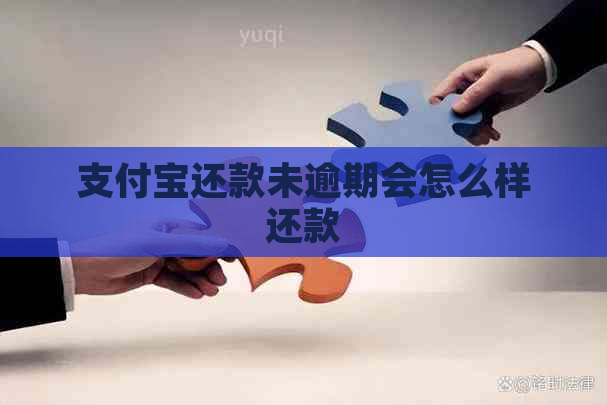 支付宝还款未逾期会怎么样还款