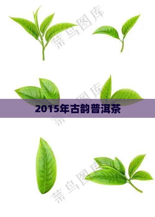 2015年古韵普洱茶