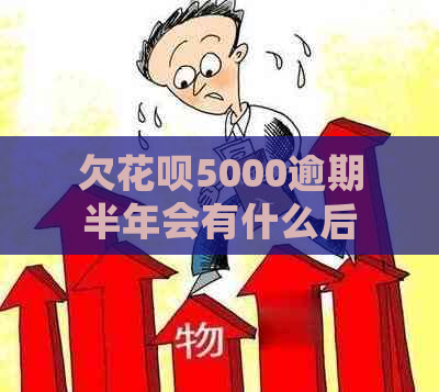 欠花呗5000逾期半年会有什么后果