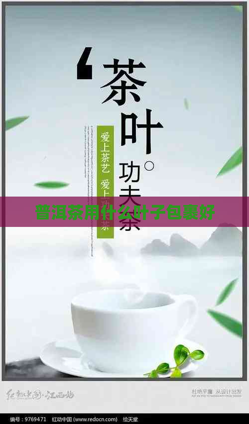 普洱茶用什么叶子包裹好