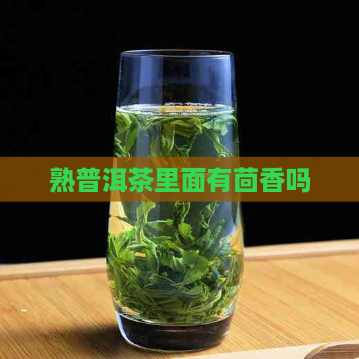 熟普洱茶里面有茴香吗