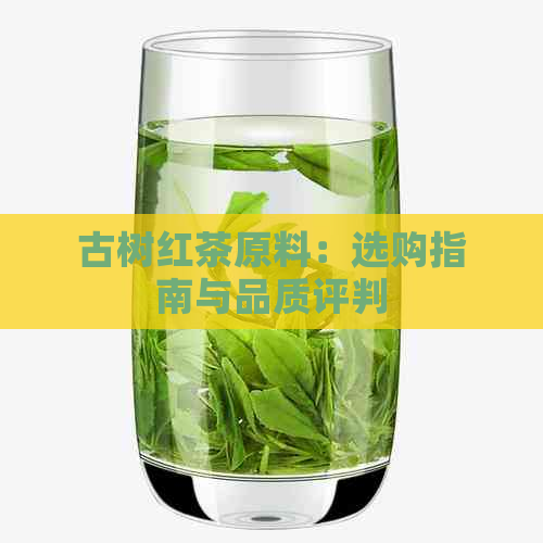 古树红茶原料：选购指南与品质评判