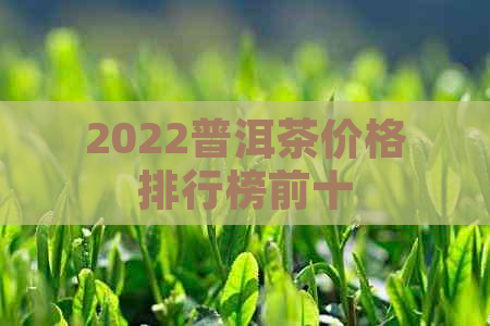 2022普洱茶价格排行榜前十