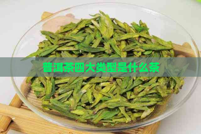 普洱茶四大类型是什么茶