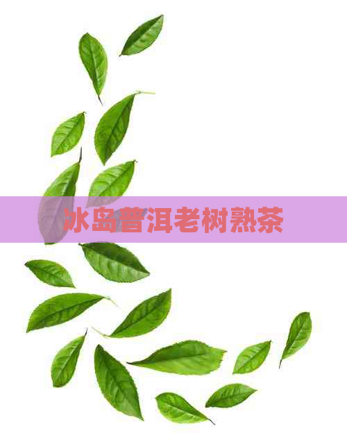 冰岛普洱老树熟茶