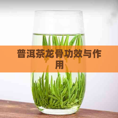 普洱茶龙骨功效与作用