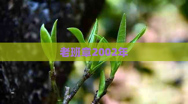 老班章2002年