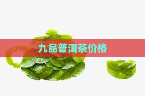 九品普洱茶价格