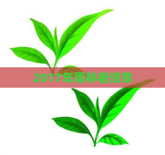 2017年雨林老班章