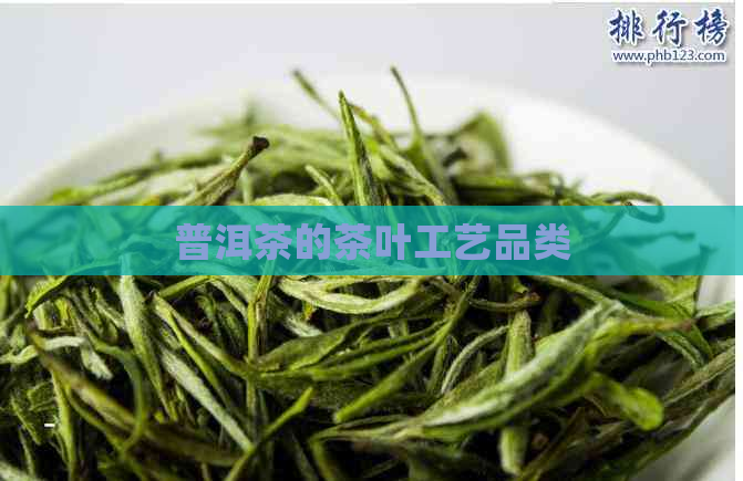 普洱茶的茶叶工艺品类