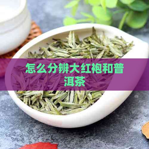 怎么分辨大红袍和普洱茶