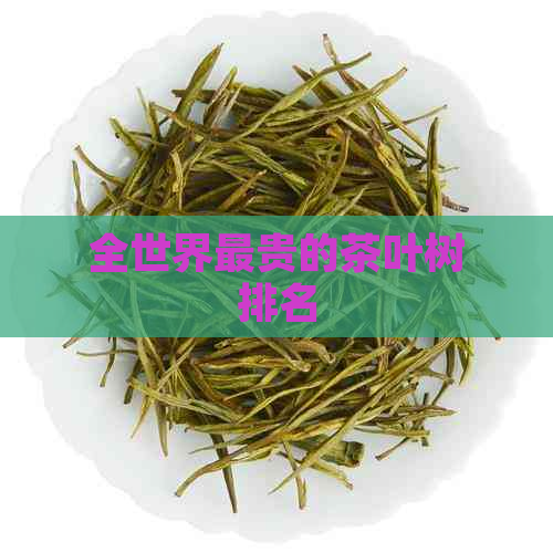 全世界最贵的茶叶树排名