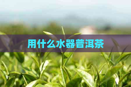 用什么水器普洱茶