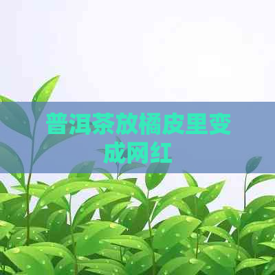 普洱茶放橘皮里变成网红